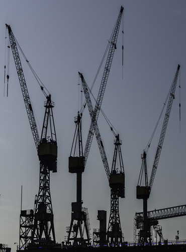 crane